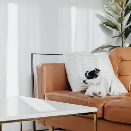 wd-furniture-blog-5-opt